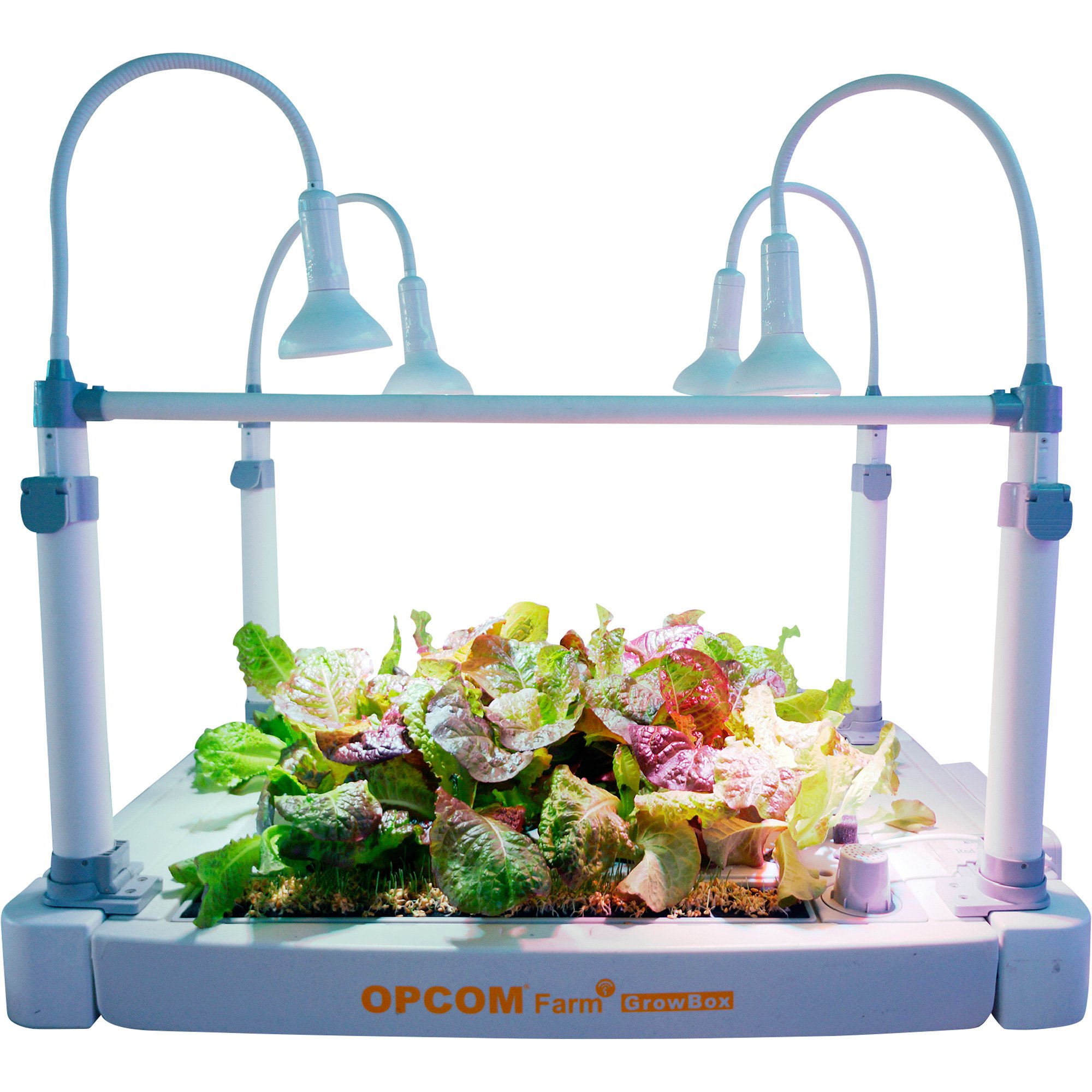 Hydroponics